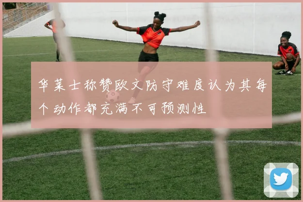 华莱士称赞欧文防守难度认为其每个动作都充满不可预测性